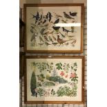 TWO DETAILED STUDY WATERCOLOUR - HORTICULTURAL & ORNITHOLOGICAL BY LOCAL ARTIST ERIC DAWSON