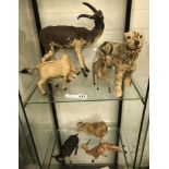 VINTAGE ANIMAL SKIN TOYS X 7