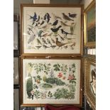 2 DETAILED STUDIES OF BIRD & GARDEN SPECIMENS SIGNED BY ARTIST DERICK ERIC DAWSON