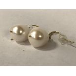 9CT GOLD LARGE SOUTH SEA PEARL EARRINGS