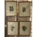 FOUR ORNITHOLOGICAL WATERCOLOURS ON SILK