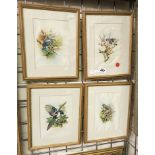 FOUR ORNITHOLOGICAL WATERCOLOURS ON SILK