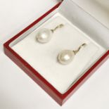 9CT GOLD SOUTH SEA PEARL EARRINGS