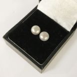 9CT GOLD CULTURE PEARL STUD EARRINGS