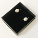 9CT GOLD SOUTH PEARL EARRINGS