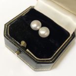 9CT GOLD CULTURED PEARL STUD EARRINGS