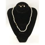 9CT GOLD CLASP NECKLACE & 9CT GOLD & PEARL EARRINGS