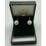 New unworn 9ct gold large south sea pearl earrings