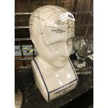 PHRENOLOGY HEAD