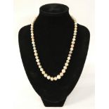 TWO TONE PEARL NECKLACE WITH SILVER CLASP
