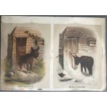 UNCUT LITHOGRAPH PRINT OF SENTIMENTAL SCENES OF A DONKEY IN FRONT OF A STABLES, WINTER & SUMMER