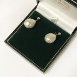 9CT GOLD CLASP SOUTH SEA PEARL EARRINGS