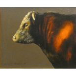 David J. Andrews (contemporary). Hereford Bull, oil on canvas, signed, 39 x 49cm