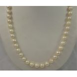 A single row uniform cultured pearl necklace, composed of 80 beads of 7 mm diameter, to a 9ct gold