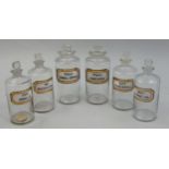 A collection of six Victorian clear glass apothecary bottles, 2 X 24 cm, PULV: CINCHON;, PULV; SANG;