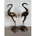 A pair of brass flamingos, raised on circular plinths, height 44 cm.
