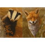 Robert Fuller two limited edition prints of a badger and a fox 184/650 and 116/850 signed in