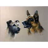 John Naylor (b. 1960), two dogs, pastel, signed and date '95, 27 x 38cm, mahogany frame. ARR.