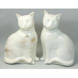 A large pair of Staffordshire models of cats, seated on their haunches with heads turned, wearing