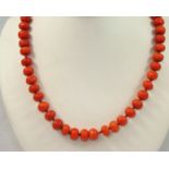 A Victorian coral bead uniform single row necklace, composed of 53 beads, 8 mm diameter, length