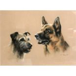 John Naylor pastel ' Two Dogs', signed and dated 95, mahogany frame, 64 x 56 cm.