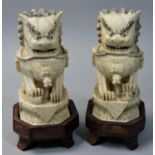 A pair of Chinese Dog of Fo Ivory statues, with black highlights, signed, raised on hard wood