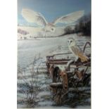Robert Fuller (1972-), Barn Owl at Thixendale, limited edition colour print No. 227/300 signed in