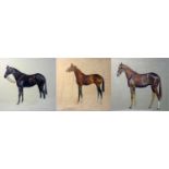 Joseph Appleyard (1908 - 1960), three preparatory equine sketches, Peter Gwynn's Operation