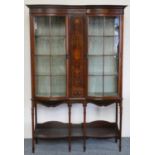 An Edwardian mahogany and boxwood inlaid display cabinet, the central floral inlaid panel flanked by