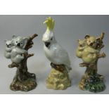 Jessica van Hallen for Dilford Studio Pottery, a model of a parrot and two of koala bears in a