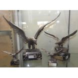 Four Army Air Corps figures of bald eagles, mounted on marble bases with brass plaques, tallest 34.