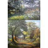 Rita Potter - oil on board, woodland light and shade, 39 x 54cm, together with oil on canvas 'A Walk