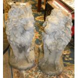 A pair of concrete seated lions, height 58cm