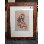 Robert Fuller, Owl limited edition print 38/200 26x18cm,