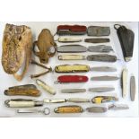 Taxidermy, an aligators head, a skull a various penknives