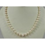 A single row, graduated cultured pearl necklace, composed of 71 beads, from 9 - 6 mm, 52 cm, clasp