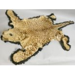 Taxidermy, an early 20th century African leopard skin, (Panthera pardus), with head mount, mouth