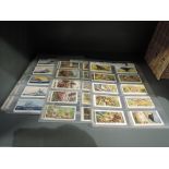 A selection of collectable cigarette cards including transport and animals