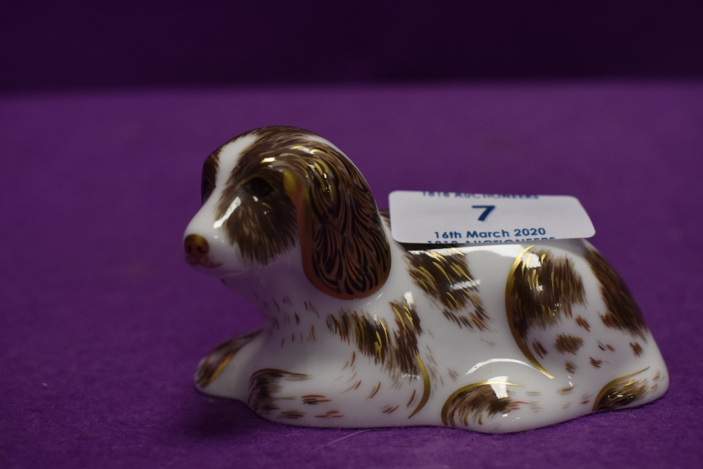 A Royal Crown Derby Paperweight Scruff an exclusive model for the Collectors Guild