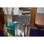 A large selection of canvas prints, mainly landscapes