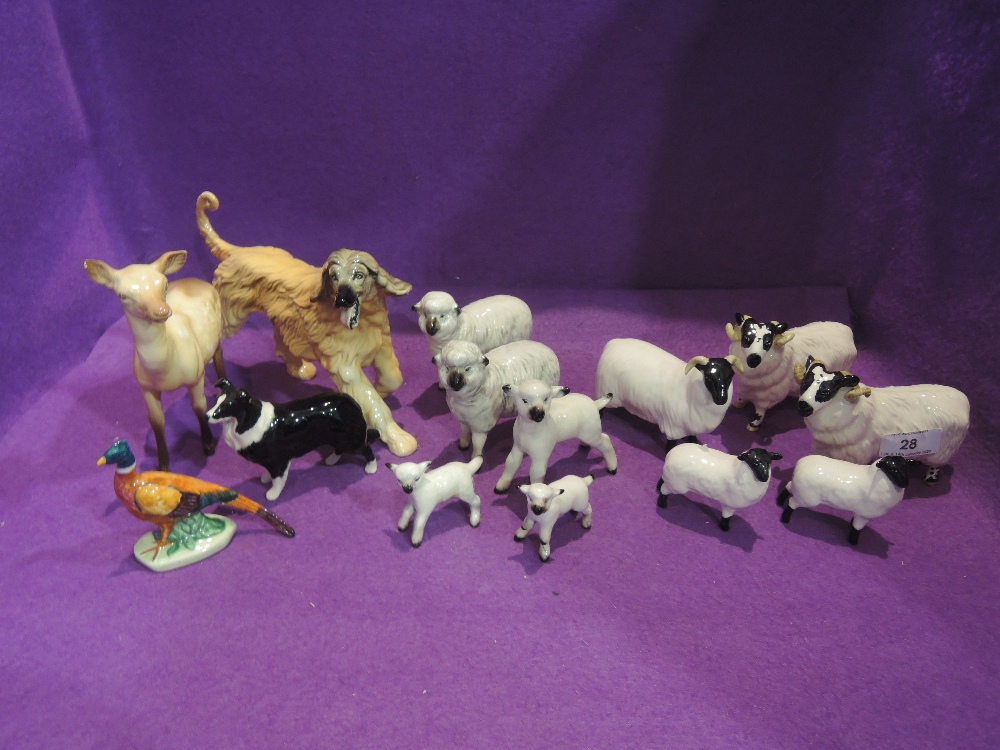 Fourteen Beswick studies, Black-Faced Family, Ram, boxed 3071, Ram 3071, Sheep 176, Lambs x2 1828,