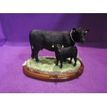 A Border Fine Arts study, Aberdeen Angus Cow & Calf A27067