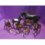 Seven Beswick studies, Black Beauty 2466, Black Beauty Foal 2536 and foals 836, 947, 996, 1084 and