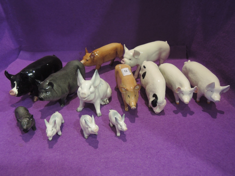 Thirteen Beswick studies, Pot Bellied Pig G189, Pot Bellied Piglet G213, Berkshire Boar 4118,