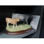 A Border Fine Arts study, Blue Grey Cow and Crossbred Calf B1648, brand new limited edition 56-350