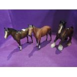 Three Beswick study, Cantering Shire 975, Arab Bahram 1771 and Bois Roussel, matt H701, all brown