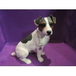 A Border Fine Arts study, Jack Russell Terrier, sitting, tricolour A3550, boxed