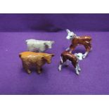 Four Beswick studies, Hereford Calf 901B (af), Hereford Calf 1406, Charolais Calf 1827B and Highland