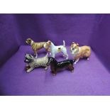 Five Beswick studies, Wire-Haired Terrier 963, Cairn Terrier with ball on left leg 1055A, Boxer,