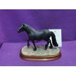 A Border Fine Arts study, Cumbrian Fell Pony B0812, limited edition 677/750, with certificate